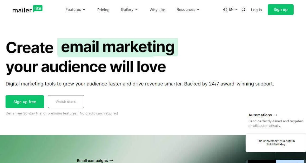 Mailer Lite (Boost Your Business with Email Marketing)